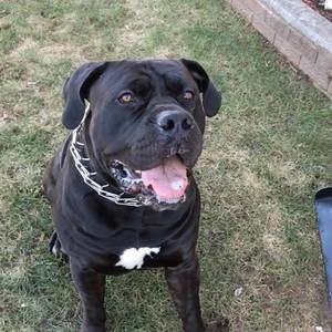 Meet your Posher, Joseph